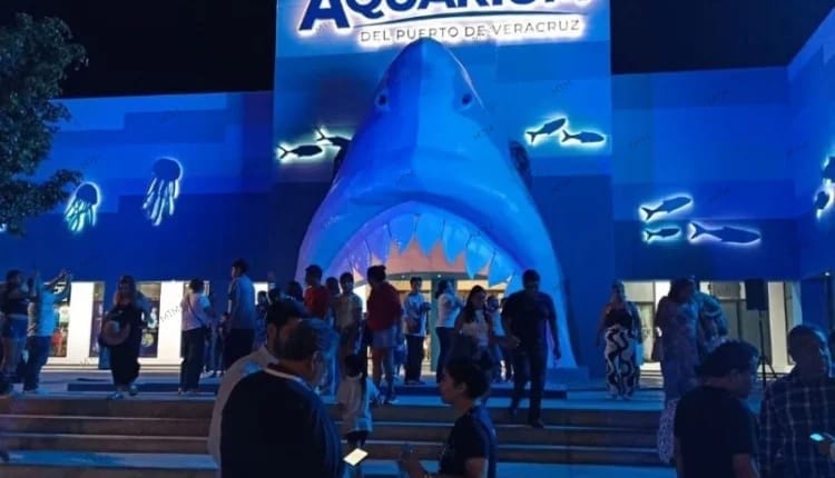 Tour 12